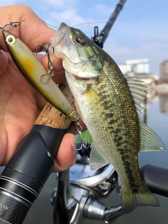 レガシィツーリングワゴンのドライブに関するカスタム事例の投稿画像22枚目