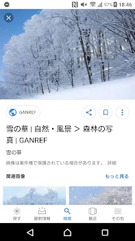 雪の合宿