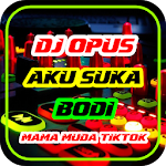 Cover Image of Download DJ Aku Suka Bodi Mama Muda 1.3 APK