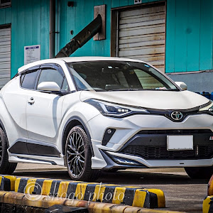 C-HR NGX50