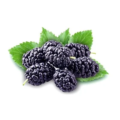 Mulberry - Exotic - 500 gm