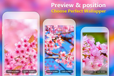 Sakura Live Wallpaper HD(圖4)-速報App