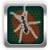 Smash and kill ants icon