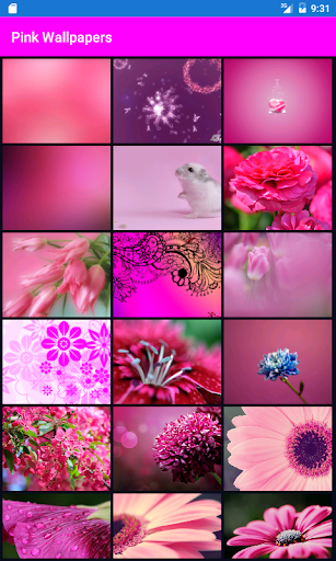 Pink Wallpapers