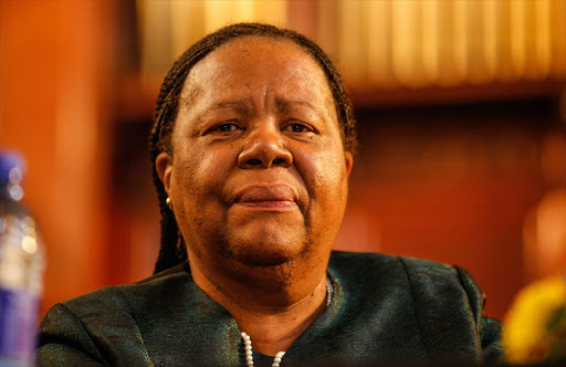 New Higher Education Minister Naledi Pandor approved student housing grant Picture: FILE