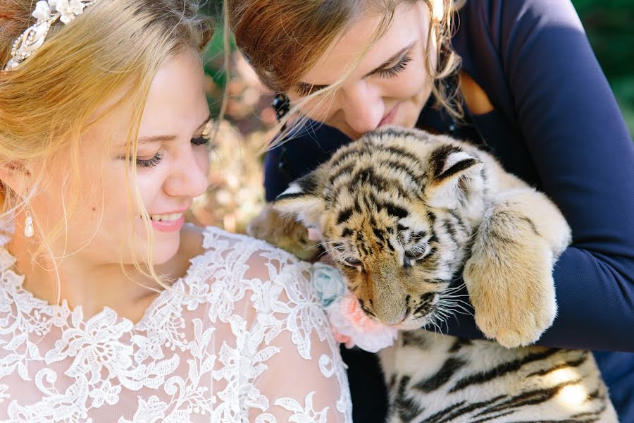 Wedding photographer Natalya Kolomeyceva (nathalie). Photo of 6 December 2016