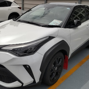 C-HR ZYX11