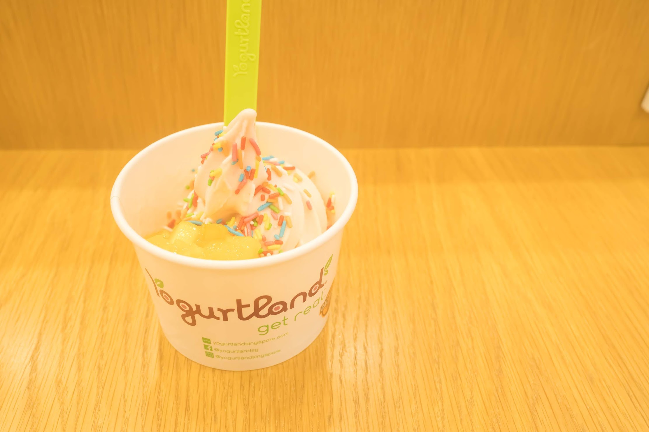 シンガポール Yogurtland2