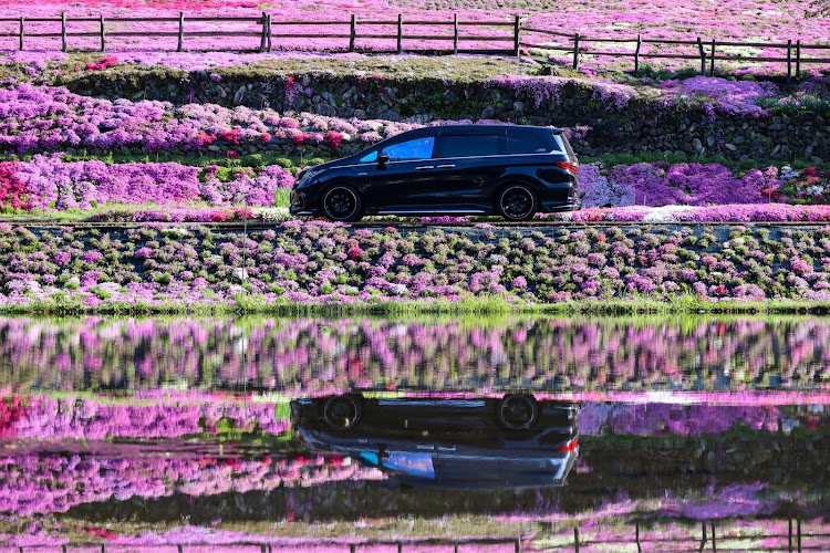 オデッセイの一眼ミラーレス初心者🔰・ホムラ、エエな〜🤤・シャインゴースト、エエな〜🤤・芝桜スポットにリベンジ💪・PickUpCarsで会いましょうに関するカスタム事例の投稿画像3枚目