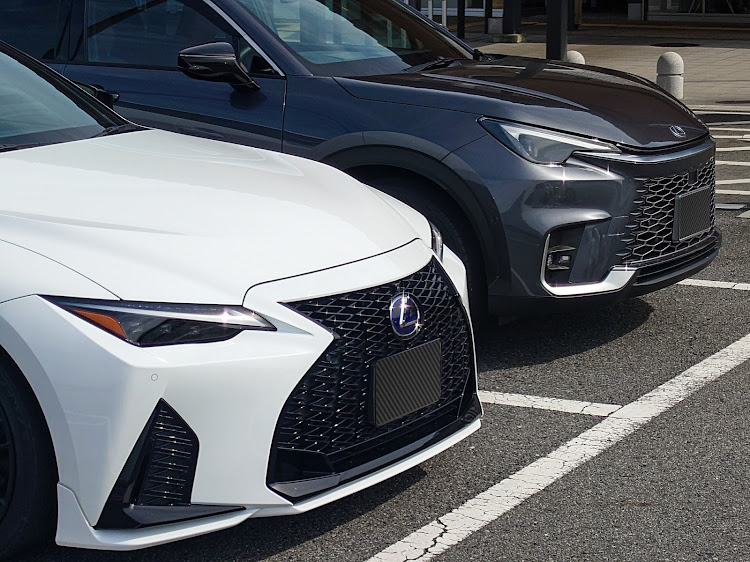 LBXのLBX・サクラと愛車・京奈和道ドライブ・IS・ハナミズキとコラボに関するカスタム事例の投稿画像12枚目