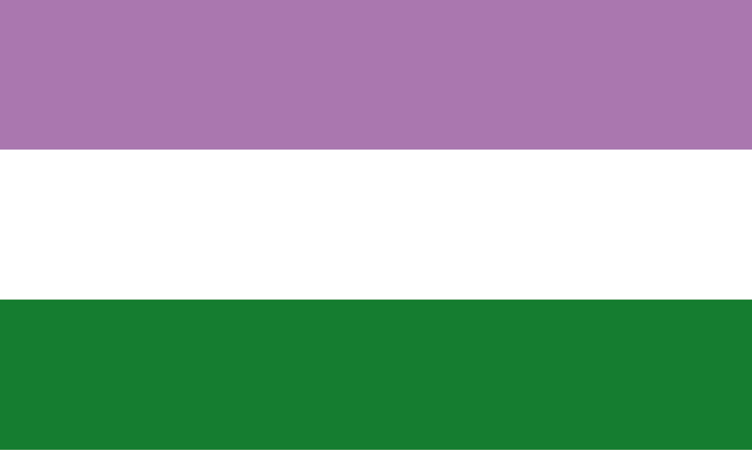 bandera genderqueer