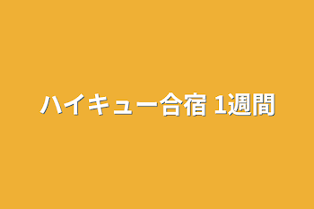 ハイキュー合宿 1週間