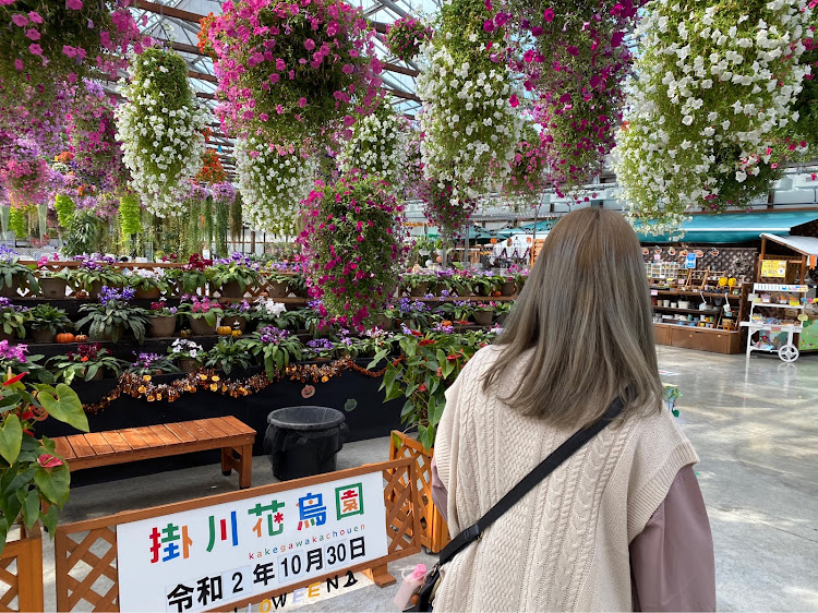 ワゴンRスティングレーの静岡旅行・掛川花鳥園・浜松・のんびり休日・楽しかった！に関するカスタム事例の投稿画像2枚目