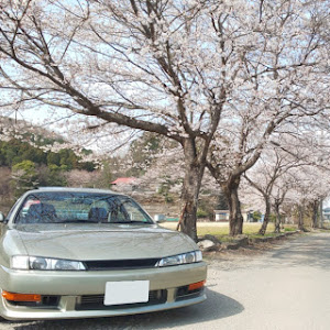 シルビア S14 前期