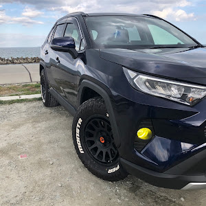 RAV4 MXAA54