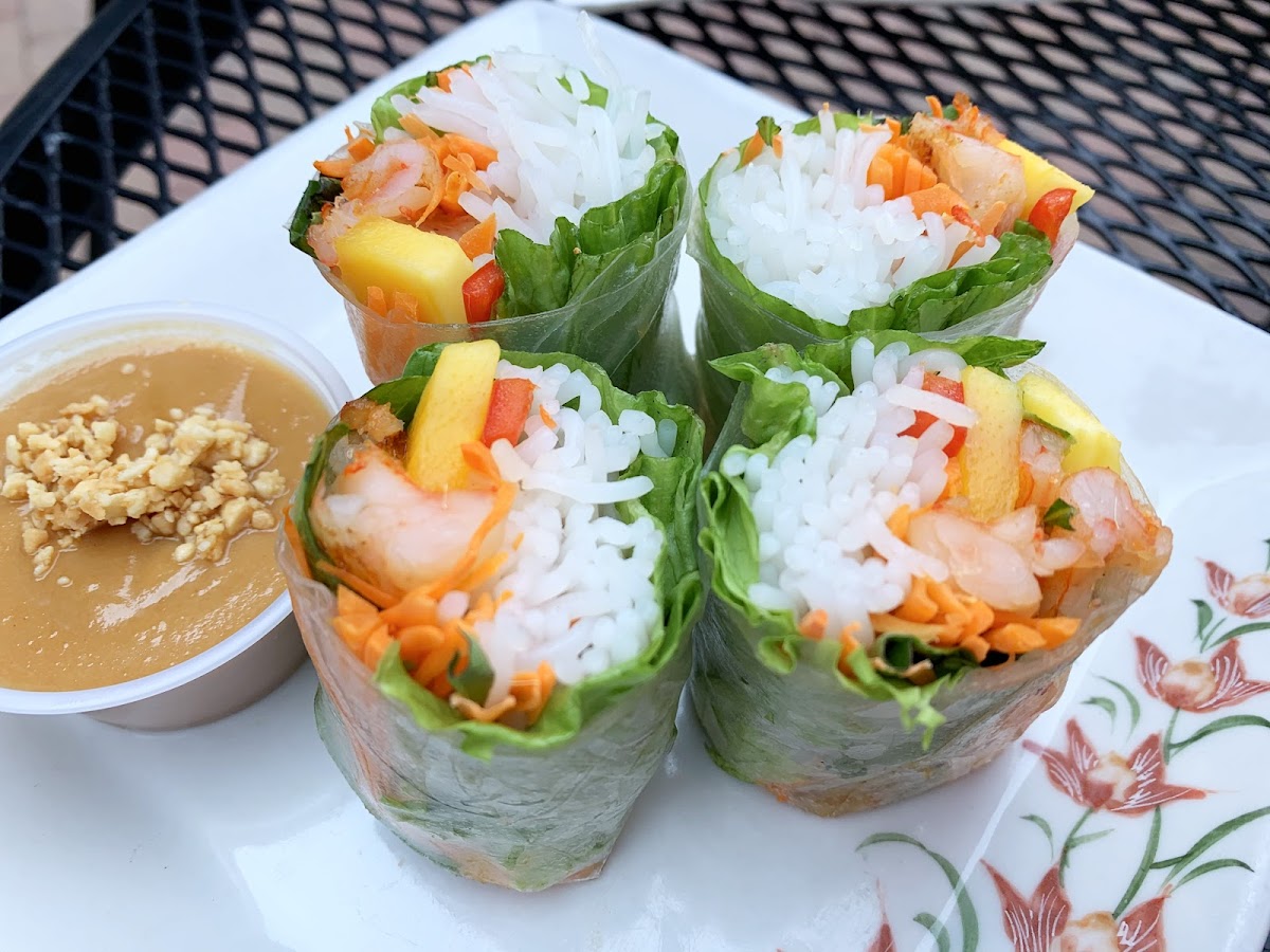 Our popular Peanut sauce are GF and DF and vegan!  They are perfect to dip the Vietnamese Rolls in!