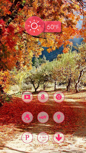 免費下載個人化APP|Red Maple Leaves app開箱文|APP開箱王