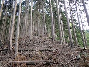 山頂まで直登コース