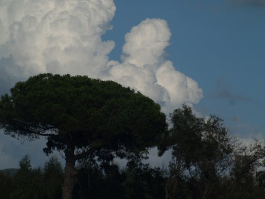 A passeggio con le nuvole di aidoru