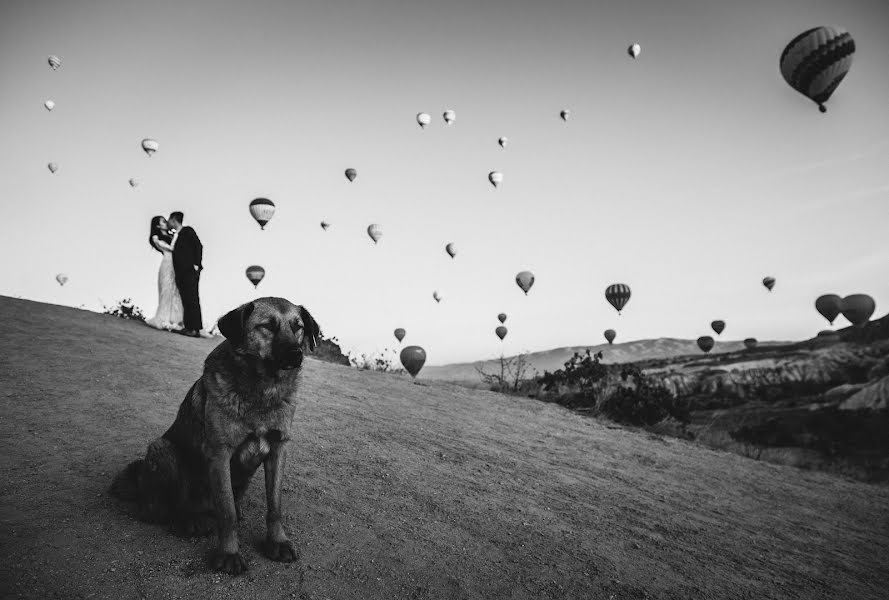 Huwelijksfotograaf Gencay Çetin (venuswed). Foto van 6 november 2019