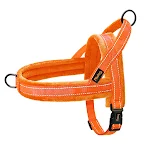 046 Orange