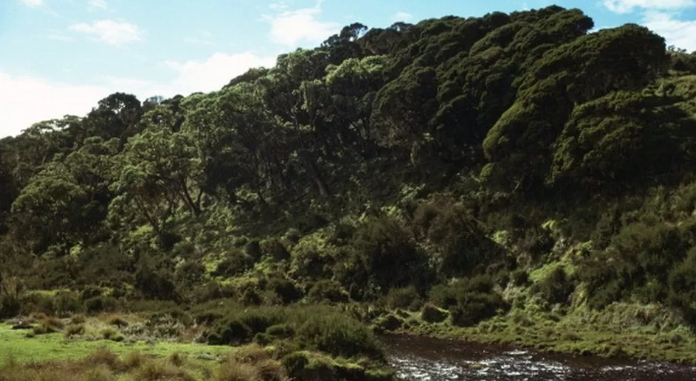 The police suspect that the men were killed and dumped in Aberdare national park