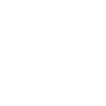 비채.png