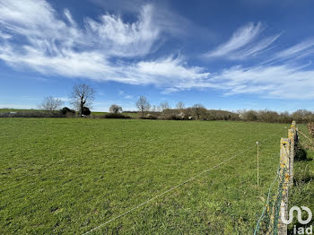 terrain à Herry (18)