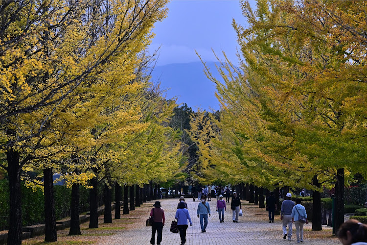 の投稿画像2枚目