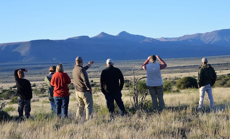 Ranger Roelof Wiesner points out where the mother cheetah is sitting watching a springbok