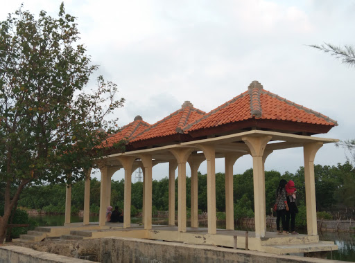 Gazibu Mangrove Dua