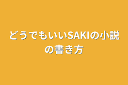 どうでもいいSAKIの小説の書き方