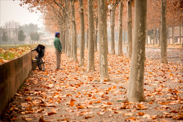 Dentro l'autunno di alberto raffaeli