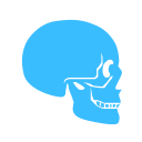 Fun with Anatomy: 3D Skeletal Edition