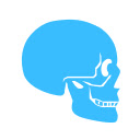 Fun with Anatomy: 3D Skeletal Edition Chrome extension download