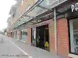 Mo Lin
