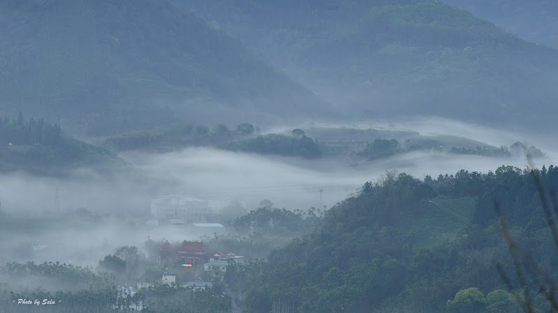 金龍山 雲海 夜琉璃