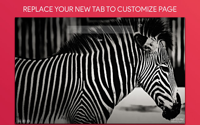 Zebra Wallpaper HD Custom New Tab