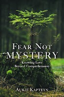 Fear Not Mystery cover