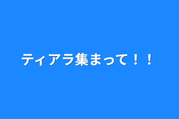 ティアラ集まって！！