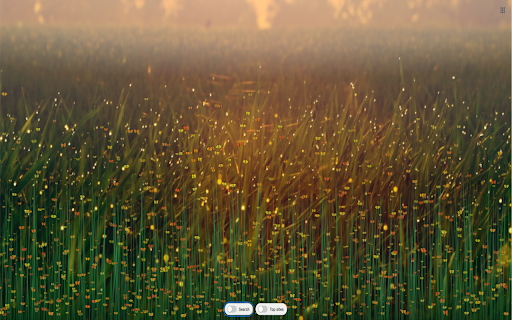Night Field & Fireflies screenshot 5