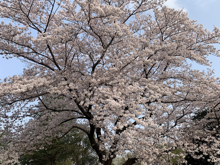 の投稿画像3枚目