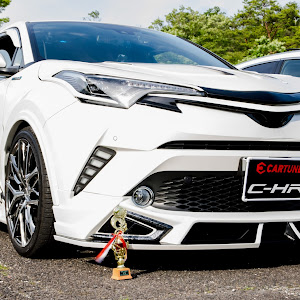 C-HR ZYX10