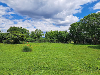 terrain à Brissac (34)