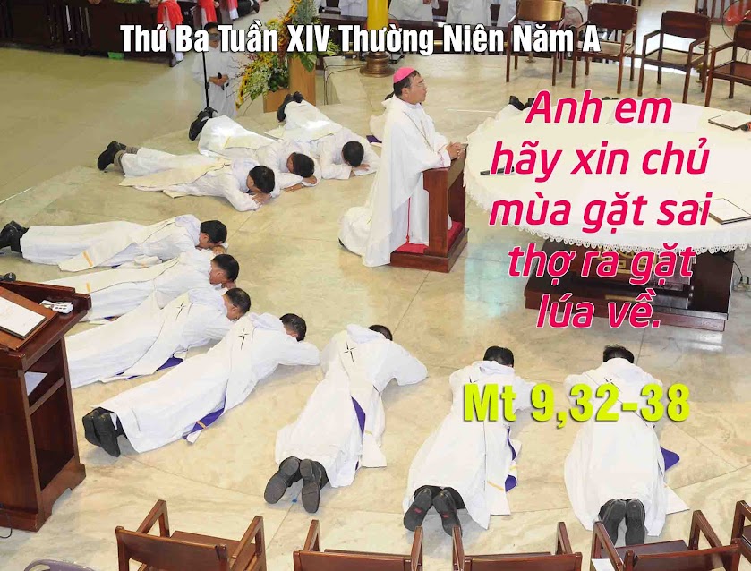 Ngày 11.07.2017: THỨ BA TUẦN 14 THƯỜNG NIÊN NĂM A