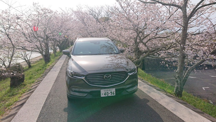 CX-8のまことさんが投稿したカスタム事例の投稿画像5枚目