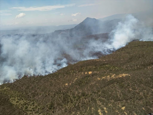 Over 700 hectares of vegetation at Aberdare National Park destroyed by fire./COURTESY