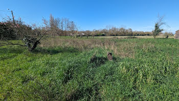 terrain à Coulon (79)