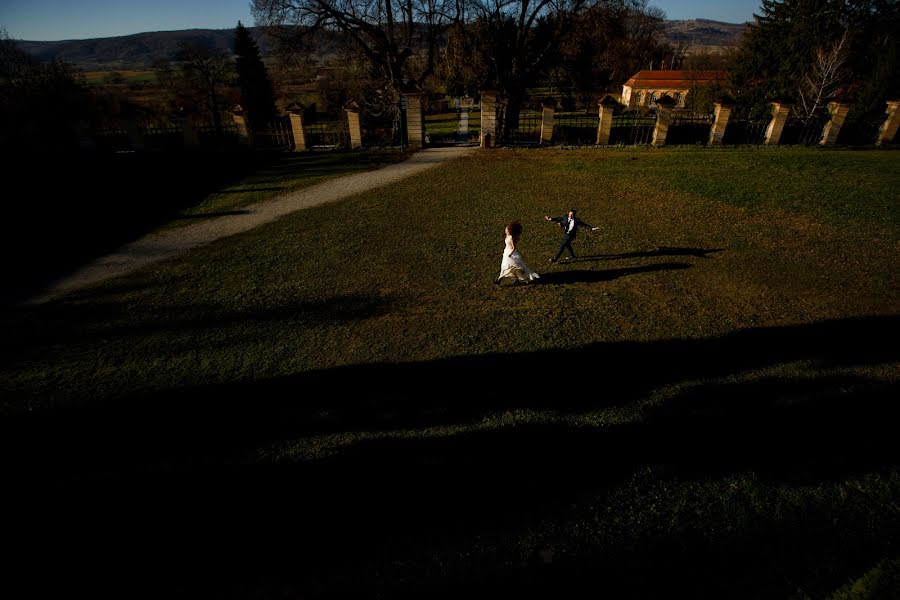 Fotógrafo de bodas Sabina Mladin (sabina). Foto del 17 de enero 2018