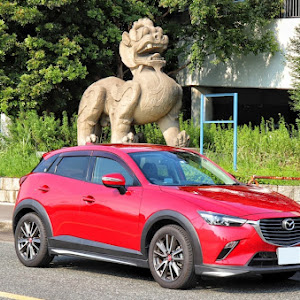 CX-3 DK5FW